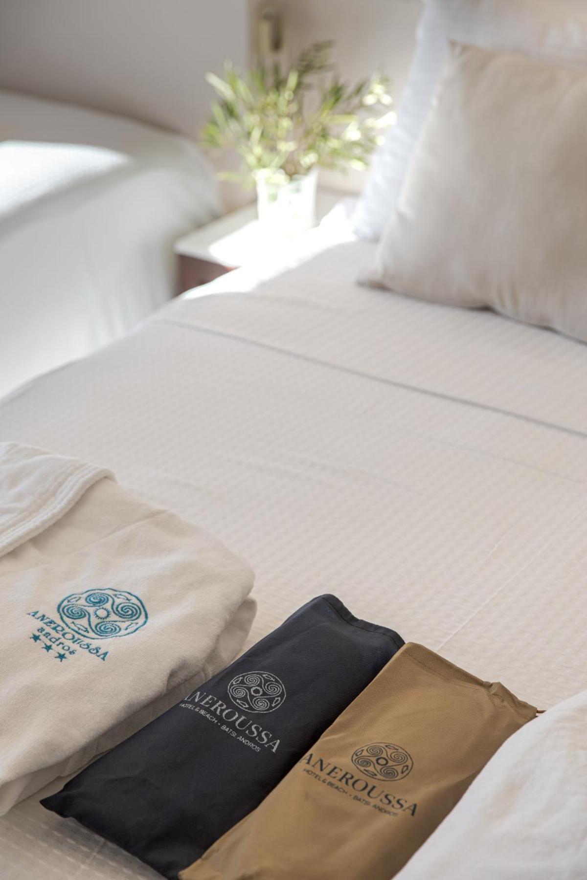 Aneroussa Beach Hotel Batsi  Bagian luar foto
